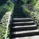 algar-do-carvo-steps-300-ft-down