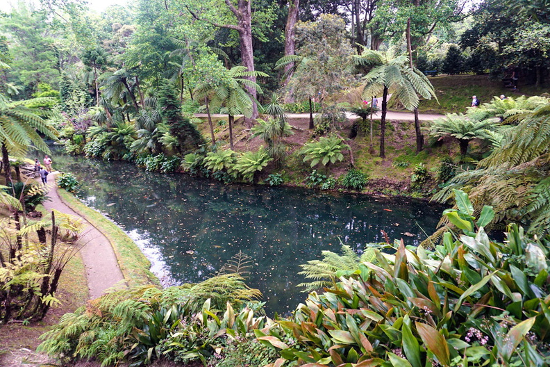 garden-pond-with-koi-fish