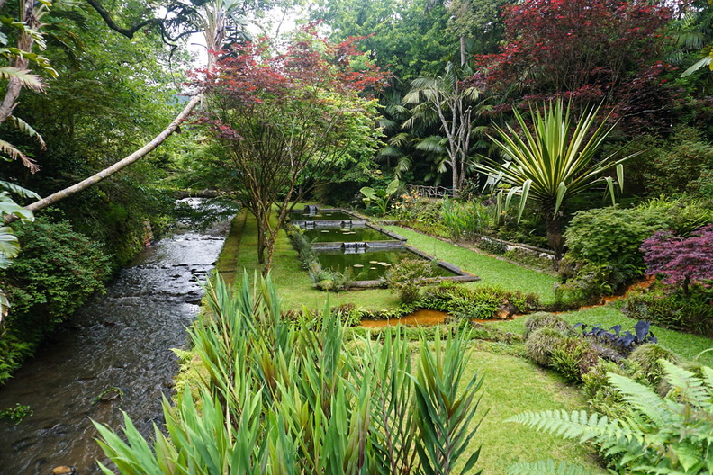 part-of-terra-nostra-garden