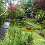 part-of-terra-nostra-garden